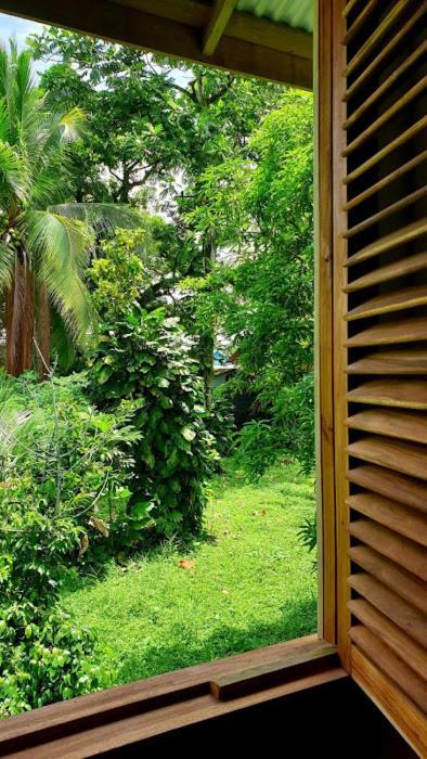 Hostel Old Bocasso Bocas del Toro Zewnętrze zdjęcie